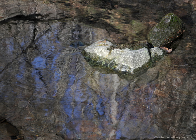 Riflessi